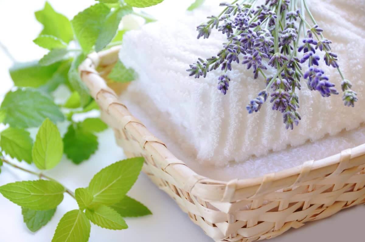 ホームページを開設致しました！